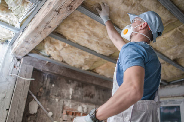 Best Insulation for Specific Applications in West Haven, UT